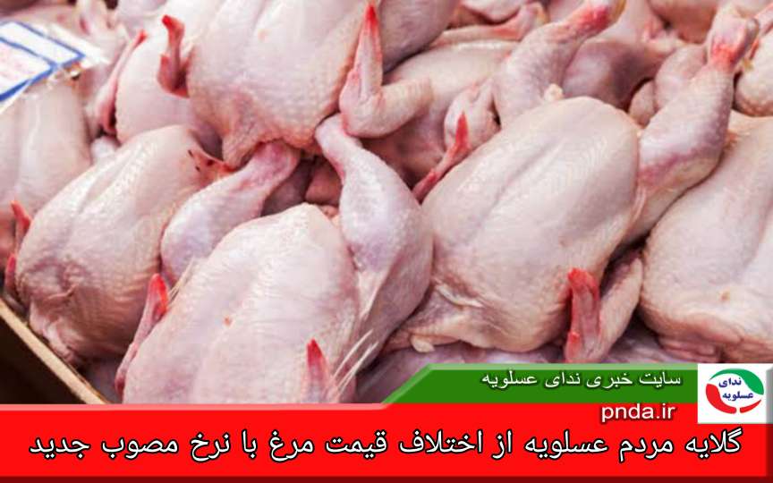 Compress_٢٠٢٥١٠١٣_١٣٢٤٣٦_6342